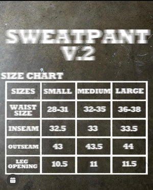 V2 Sweatpants